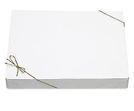 Apparel shipping boxes